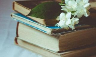 شاهد .. سارت على جرحه كأنها.. شوكاً يفوح عطرا من زهرها