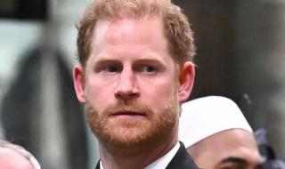 شاهد .. شهادة تاريخية سيددلي بها الأمير هاري قريباً