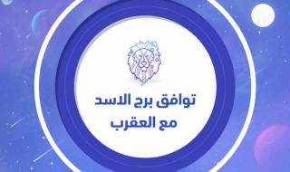 توافق برج الأسد مع العقرب في الزواج