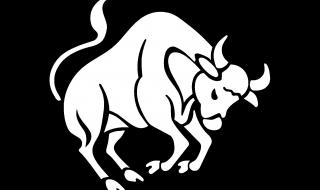 حظك اليوم السبت 9 ديسمبر لمولود برج الثور.. “يوم طويل يحمل صدامات”