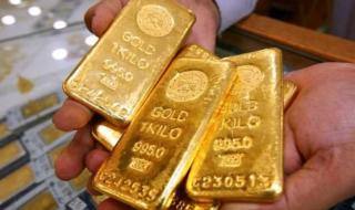 سعر سبيكة الذهب اليوم الأربعاء 13 ديسمبر 2023.. كل الأوزان وصلت للقمة
