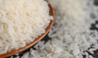  سعر الأرز اليوم الأربعاء 21 فبراير 2024 .. زيادة 500 جنيه في الطن قبل رمضان