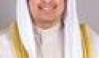 وزراء إعلام «التعاون الإسلامي» يدعون للاعتراف بدولة فلسطين وإيقاف الحرب على غزة
