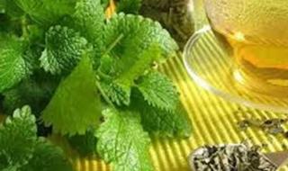 5 أعشاب للتخلص من الأرق والتوتر وطريقة استخدامها