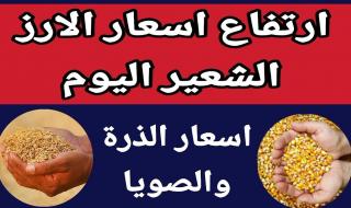 أخبار مصر | “اشتري قبل رمضان” سعر طن الأرز الشعير اليوم الاثنين للتجار في مصر