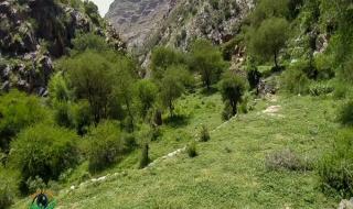 بيان رسمي هام لهيئة المساحة الجيولوجية بشأن حقيقة اكتشاف ثروات ضخمة من خامات اليورانيوم والذهب في وادي القهرة بالضالع