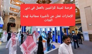 فرصة ثمينة للراغبين بالعمل في دبي.. الإمارات تعلن عن تأشيرة جديدة سيتم منحها مجاناً لـ 4 فئات