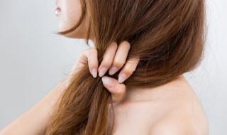 أفضل 5 وصفات منزلية لمعالجة الشعر التالف والمتقصف