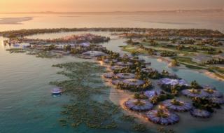 السعودية تطلق المشروع المعجزة الذي سيغير التاريخ وتثبت أن المستحيل في عهد محمد بن سلمان أصبح ممكنا