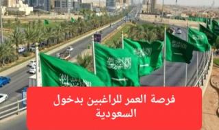 مجانًا.. تأشيرة جديدة تسمح لحاملها بالدخول إلى السعودية خلال 24 ساعة
