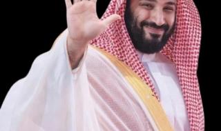 عالم إيراني يكشف أين وصل الأمن السيبراني في السعودية بقيادة ولي العهد
