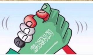 رئيس حزب الإصلاح والنهضة: التحالف المصرى السعودى صمام الأمان لاستقرار المنطقة