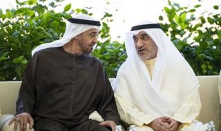 رئيس دولة الإمارات استقبل النائب الأول وبحثا الروابط الأخوية وتطوير العمل المشترك
