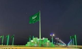 السعودية تدين الانتهاكات الإسرائيلية فى أراضى سوريا