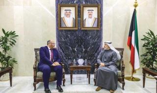 نائب وزير الخارجية بحث مع السفير المصري العلاقات الثنائية والتطورات الإقليمية والدولية