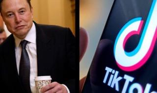 إيلون ماسك يرد على فضيحة إبستين: لم أزر جزيرته والرسائل المسرّبة أسيء تفسيرها