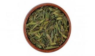 لن تصدق تأثيرها على الهضم.. عشبة طبيعية شائعة قد تساعد في تخفيف الإمساك خلال ساعات!