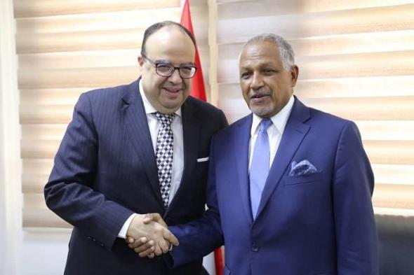 وكيل الخارجية يلتقي سفير مصر