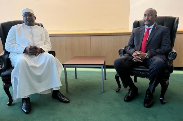 رئيس مجلس السيادة يلتقي رئيس جمهورية غامبيا