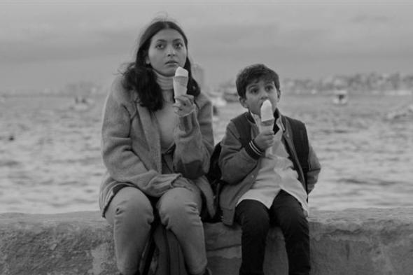 شاطرين محلي بس : قائمة الأفلام المصرية المشاركة في مهرجان القاهرة