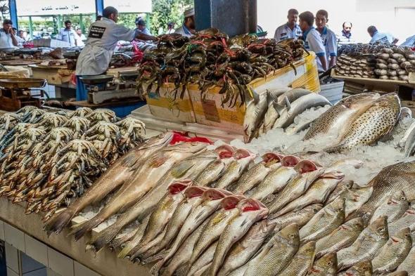 أسعار الأسماك اليوم الأحد 9 أكتوبر 2022: زي سعر امبارح مفيش اختلاف