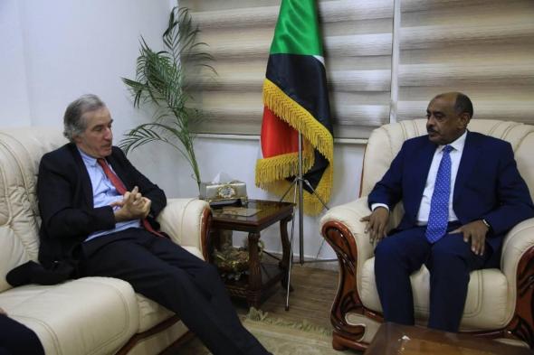 وزير الخارجية يلتقي مدير عام إدارة أفريقيا في الخارجية الفرنسية