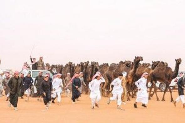 مهرجان الملك عبدالعزيز للإبل يعزز ريادة المملكة في دعم الموروث الثقافي