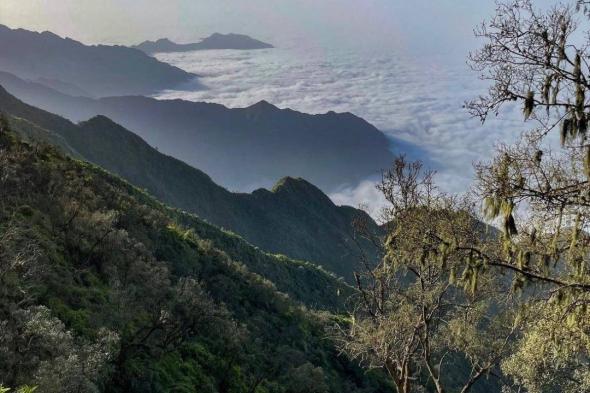 شاهد بالفيديو| انهيار صخري بطريق الجبل الأسود بجازان