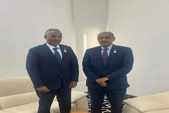 وزير الخارجية المكلف يلتقي بوزير الخارجية والتعاون الدولي الصومالي