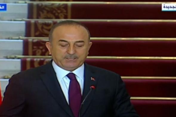 وزير الخارجية التركى: يشيد بحجم التبادل التجارى بين بلاده ومصر