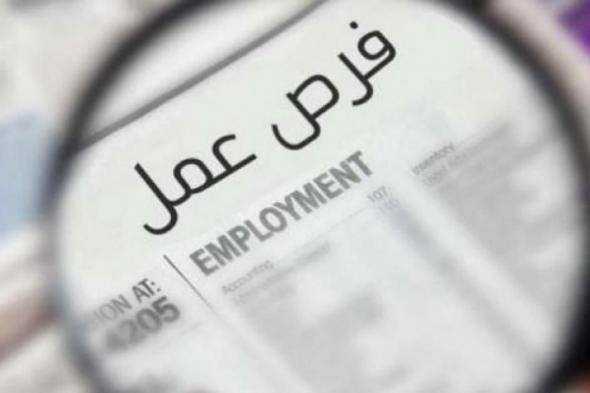 برواتب تتخطي الـ 12 ألف دينار| وظائف الأحلام في قطر