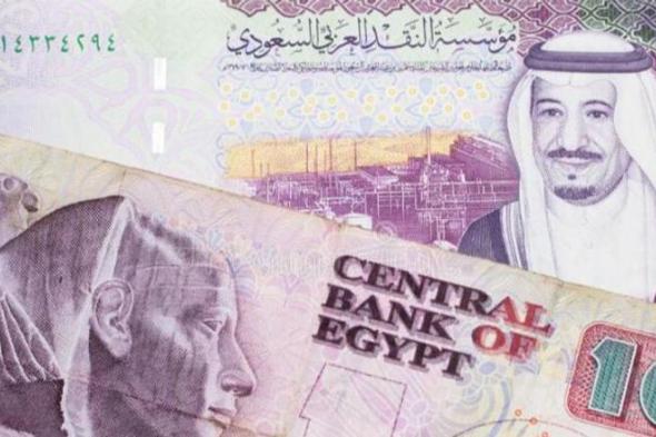 تباين في سعر الريال السعودي مقابل الجنيه اليوم.. اعرف الأول بكام