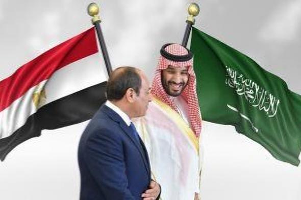 تعزيز العلاقات الثنائية.. الرئيس السيسى يلتقى ولى العهد السعودى فى جدة (إنفوجراف)