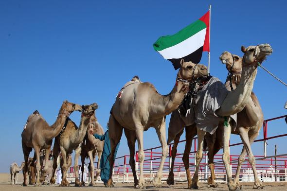 انطلاق مهرجان الظفرة في الـ 21 من أكتوبر