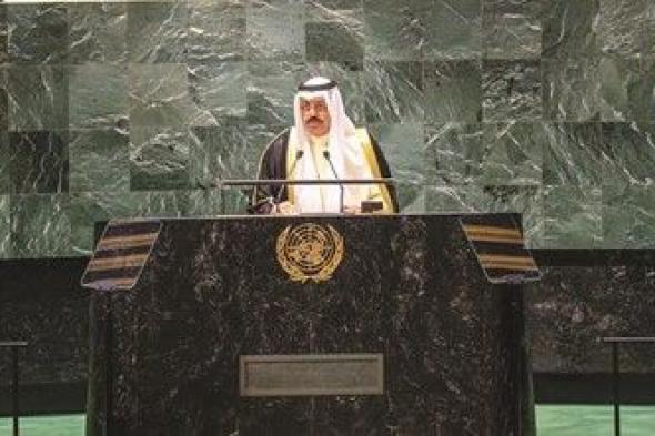 ممثل الأمير: نعتبر اتفاقية تنظيم الملاحة في خور عبدالله سارية وملكية حقل الدرة بكامله مشتركة بين الكويت والسعودية فقط