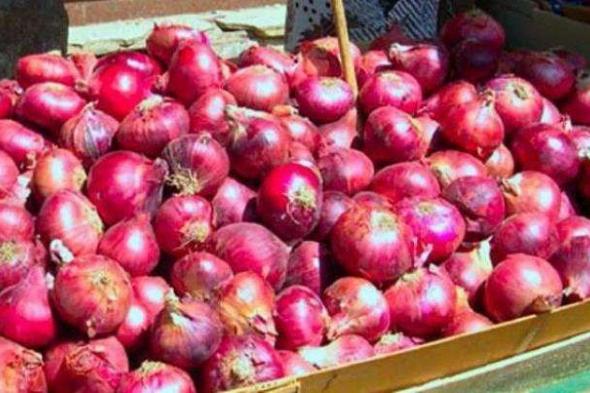 مصدر بوزارة التجارة يكشف موعد تنفيذ حظر تصدير البصل