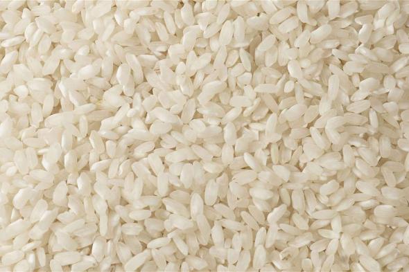 الحكومة تعلن التسعيرة الجديدة للأرز الأبيض اليوم.. وسعر الأرز الشعير صدمة