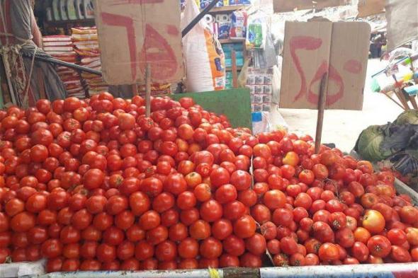 مجنونة يا قوطة .. زيادة صادمة في أسعار الطماطم اليوم الخميس 5 أكتوبر 2023