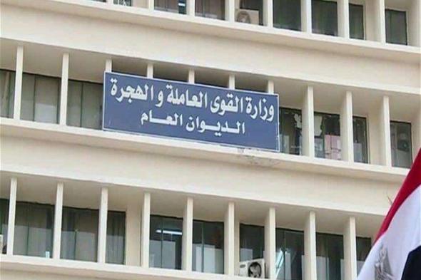 أخبار مصر | العمل تُعين 61 شخصًا من ذوي همم جنوب سيناء