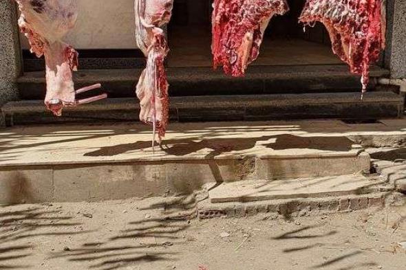 الحكومة تعلن إجراء عاجل لتخفيض أسعار اللحوم الحمراء في مصر