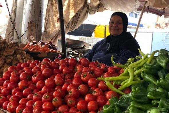 أسعار الطماطم اليوم السبت 28 أكتوبر 2023 .. العداية بتراب الفلوس