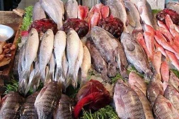 البوري زعل الكل.. أسعار الأسماك اليوم في مصر 30 أكتوبر