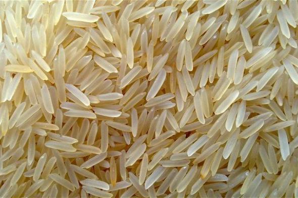 زيادة صادمة في أسعار الأرز اليوم الأربعاء 1 نوفمبر 2023 .. شوف الكيلو بكام