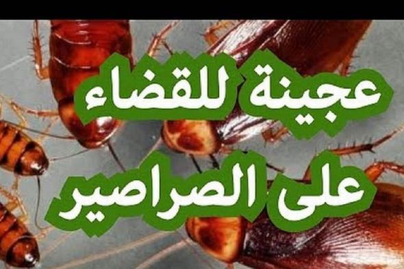 عجينة التخلص من الصراصير سحرية في نتيجتها عشان مش هتلاقي أي حشرات في بيتك