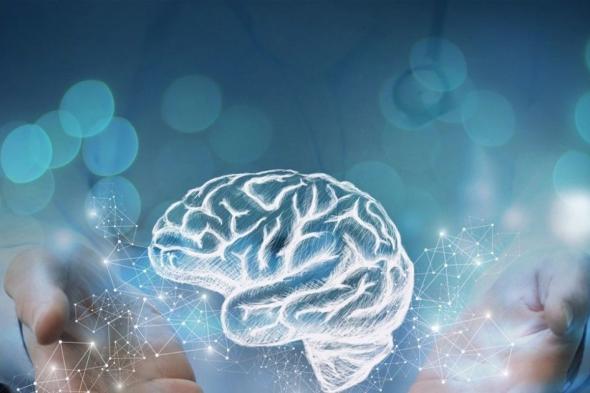 ابتكارجهاز يحافظ على حياة الدماغ خارج الجسم: ثورة في دراسة الأعضاء الرئيسية
