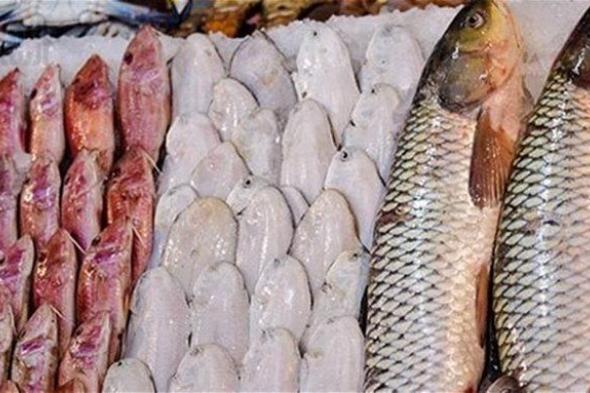 أسعار السمك اليوم في سوق العبور.. البلطي والبوري والجمبري انخفضوا