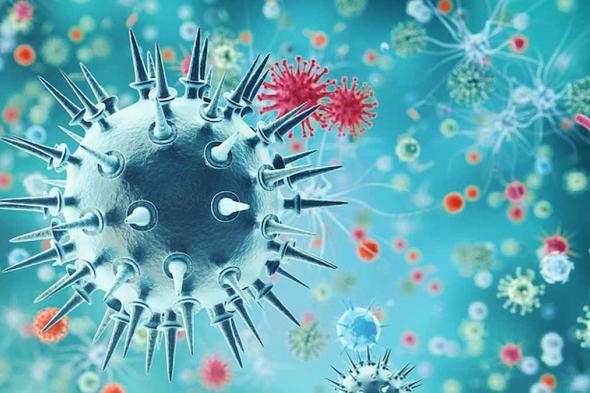 “النواب” يكشف حقيقة انتشار فيروس جديد في مصر.. ايه قصة H1N1؟
