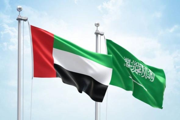الإمارات تتضامن مع السعودية وتعزّي في سقوط طائرة من القوات الجوية الملكية