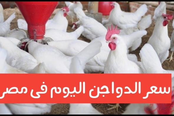 أسعار الفراخ اليوم 22 ديسمبر “في الأرض”.. املي الفريزر قبل نهاية الشهر