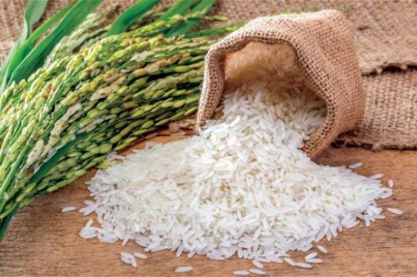 سعر الأرز في السوق اليوم الأربعاء 21 فبراير 2024.. ارتفع من تاني